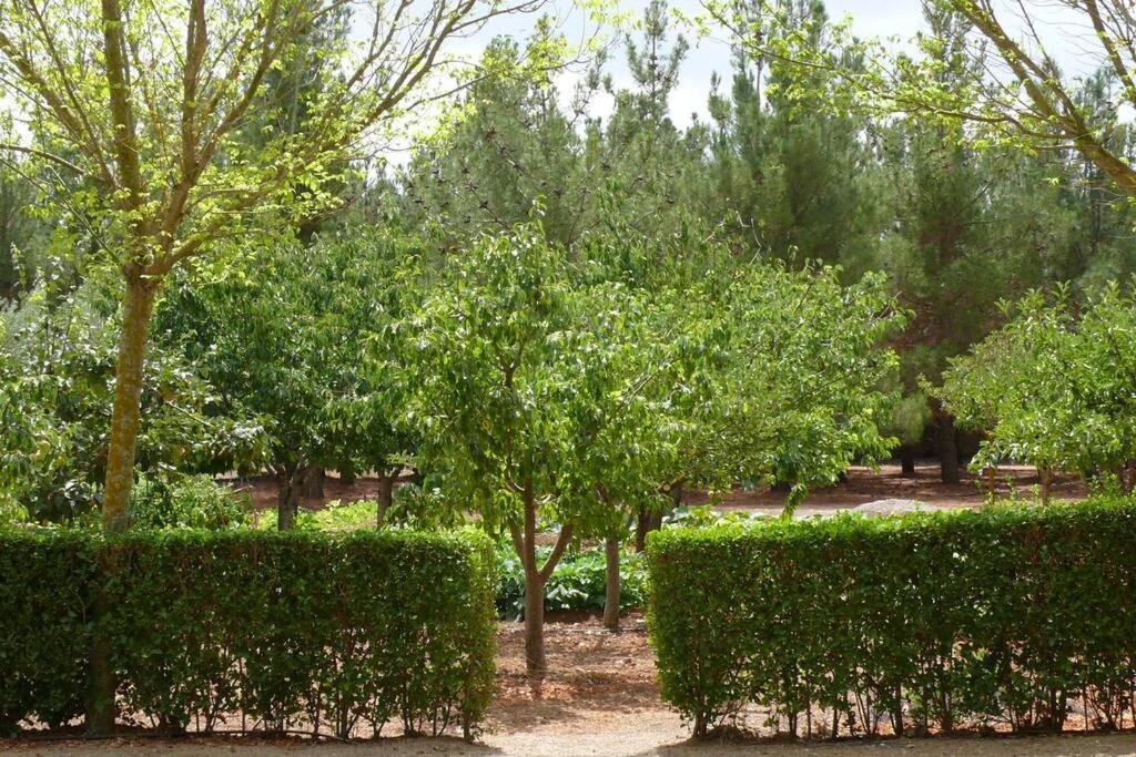 Casa En El Campo Con Encanto อันมานซา ภายนอก รูปภาพ